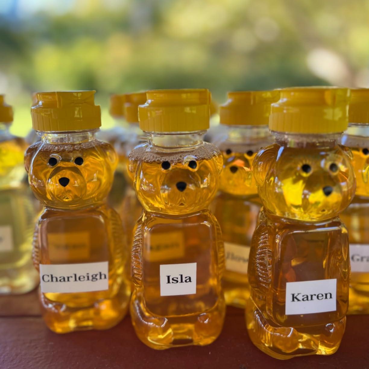 Botol madu beruang plastik, 12 - Mason Jar 8Oz ulasan dan harga
